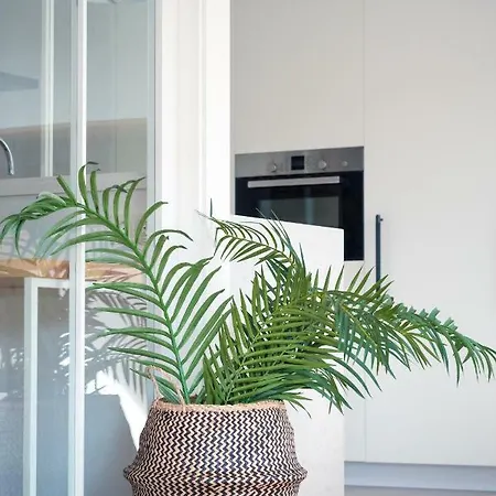 Loiola 아파트 아스페이티아